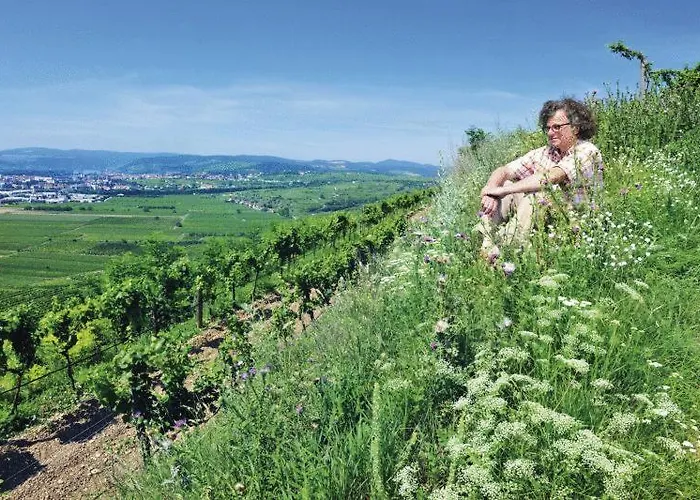 Zur Goldenen Krone Hotel 3*